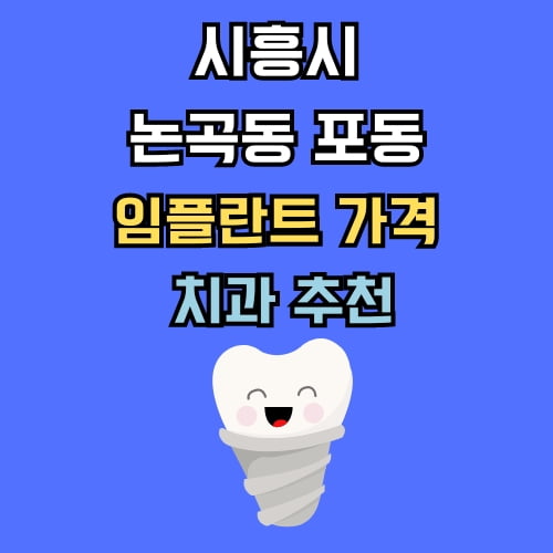 논곡동 포동 임플란트 가격 치과 추천