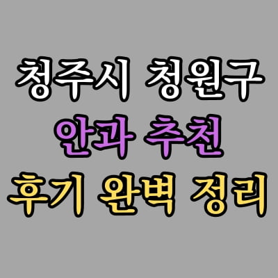청원구 안과 추천 후기 총정리