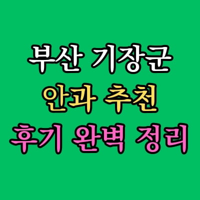 부산 기장군 안과 추천 후기 총정리