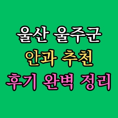 울산 울주군 안과 추천 후기 총정리