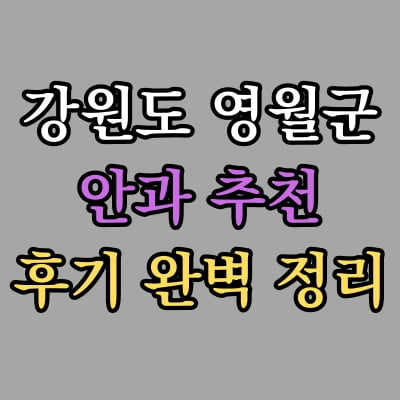 영월군 안과 추천 후기 총정리