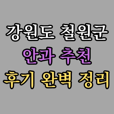 철원군 안과 추천 후기 총정리
