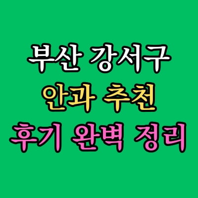 부산 강서구 안과 추천 후기 총정리