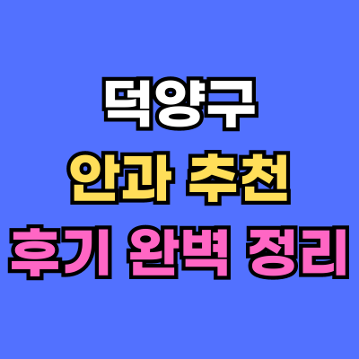 덕양구 안과 추천 후기 총정리