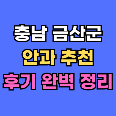 금산군 안과 추천 후기 총정리