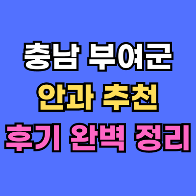 부여군 안과 추천 후기 총정리