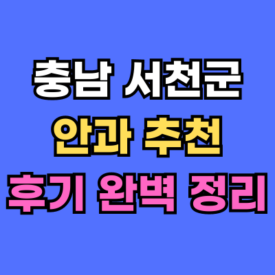 서천군 안과 추천 후기 총정리