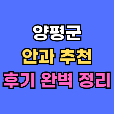 양평군 안과 추천 후기 총정리