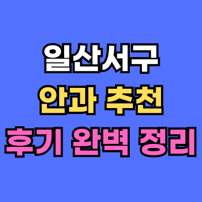 일산서구 안과 추천 후기 총정리