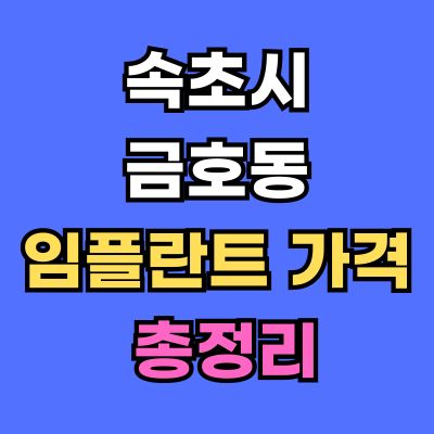 속초시 금호동 임플란트 가격