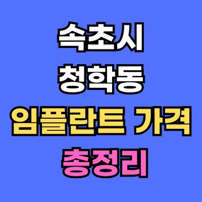 속초시 청학동 임플란트 가격